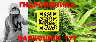 прущие крисы Гусиноозёрск