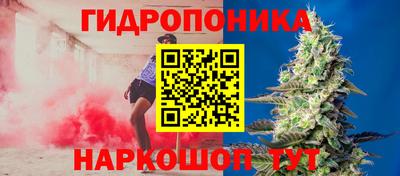 спиды Гусев