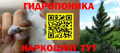 прущие крисы Гусиноозёрск
