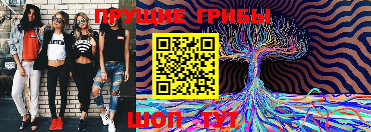 Галлюциногенные грибы Psilocybe Советская Гавань