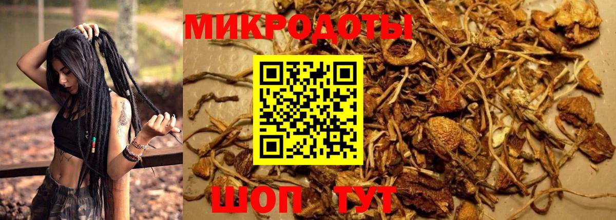Псилоцибиновые грибы Psilocybine cubensis  Вход с VPN  Советская Гавань 